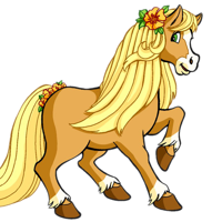 Honey Pie Pony Discussion On Pdb