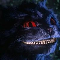 Cheshire Cat Discussion On PDB