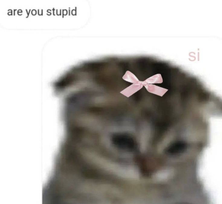i-m-entj-in-coquette-infj-reacts