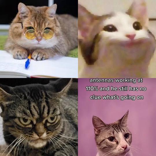 Describing in a nutshell each accentuation in a sentence/quote PT2