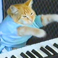 Fatso (Keyboard Cat) - Discussion on PDB