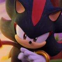 Shadow the Hedgehog MBTI Personality Type: INTJ or INTP?