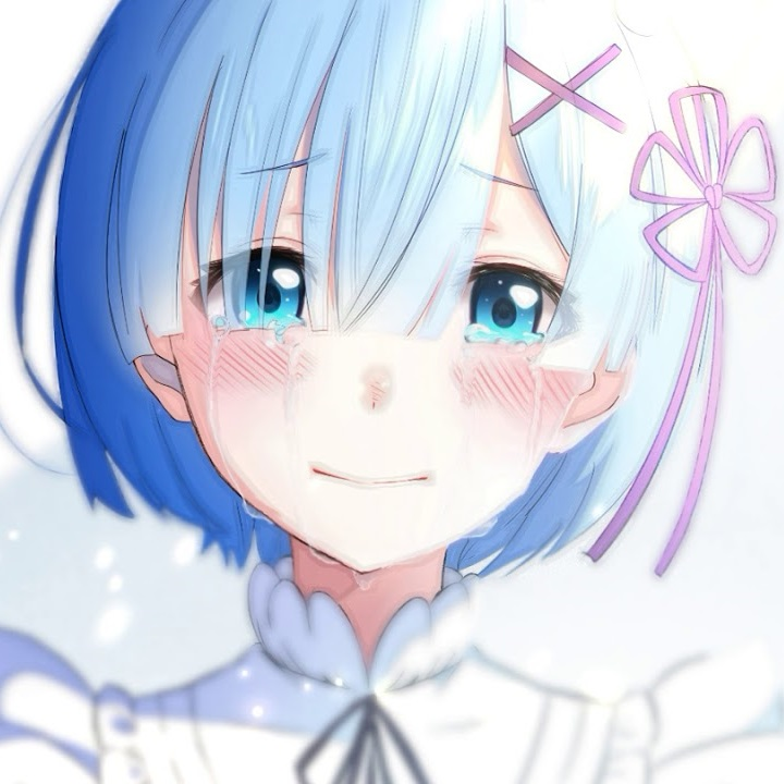 Rem ReZero Starting Life in Another World MBTI Personality