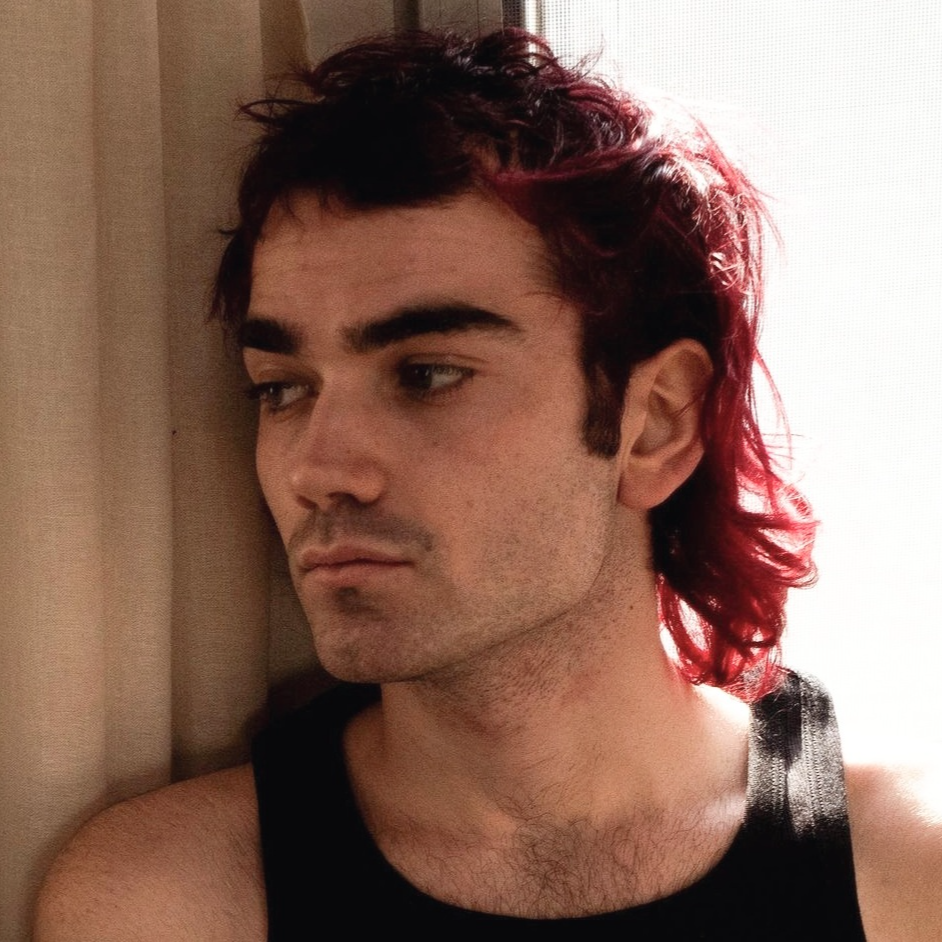 Piccolo (BNKR44) MBTI Personality Type ISFP or ISFJ?