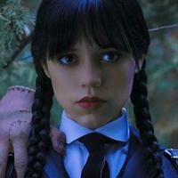 Wednesday Addams MBTI Personality Type: INTJ or INTP?