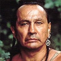 🔥 Chingachgook MBTI Personality Type ISTJ or ISTP?