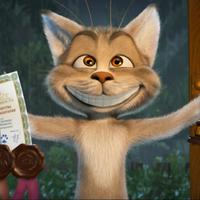 猫 Mbti 性格类型 哪种mbti