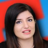 What do you think Maria Elisa Calvagna (Midna)'s personality is?