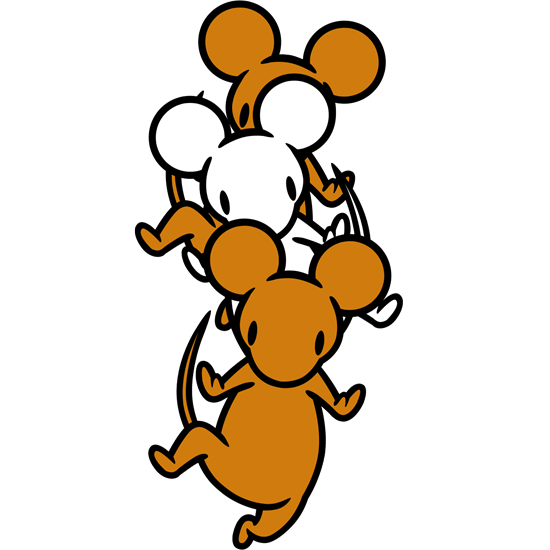 🔥 Rats MBTI Personality Type ISTJ or ISTP?