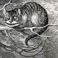 The Cheshire Cat - Discussion on PDB