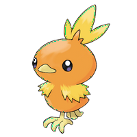 Torchic - Discussion on PDB