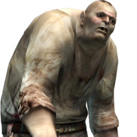 Debilitas Discussion on PDB