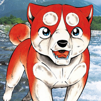 🔥 Ginga Densetsu Weed: Orion MBTI Personality Type - Anime & Manga