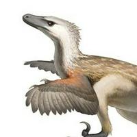 🔥 Velociraptor MBTI ISTP or ISTJ?