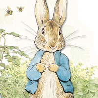 🔥 Peter Rabbit MBTI Personality Type ENFP or ENFJ?