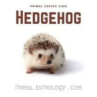 Hedgehog (Primal Astrology) MBTI Stereotypes: ISFJ