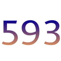 593 MBTI Personality Type: INTP