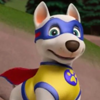 what kind of dog is apollo paw patrol