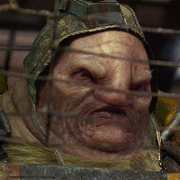Boga.png