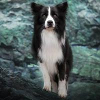 Polarka - Discussion on PDB