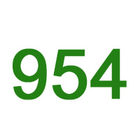 954 MBTI Personality Type: INTP
