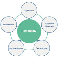 🔥 Big 5 Theory MBTI INTJ or INTP?