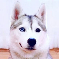 Skaya Siberian - Discussion on PDB