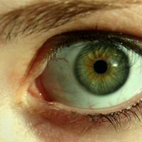 🔥 If Green Eyes has a personality type...