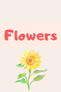 Myers-Briggs Personality Type Flowers