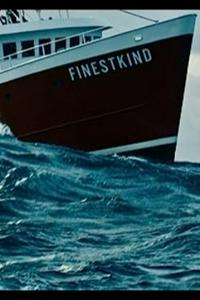 🔥 Finestkind (2023) MBTI Personality Types