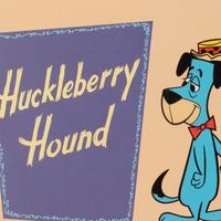 🔥 The Huckleberry Hound Show MBTI Personality Types