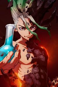 Nikki Hanada, Dr. Stone Wiki