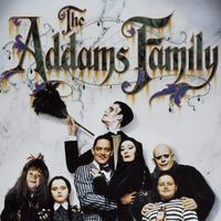 The Addams Family: Wednesday Addams (INTJ) - Practical Typing