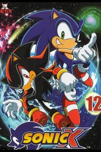 Shadow the Hedgehog MBTI Personality Type: INTJ or INTP?