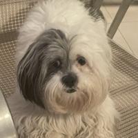 buke | Personality Database